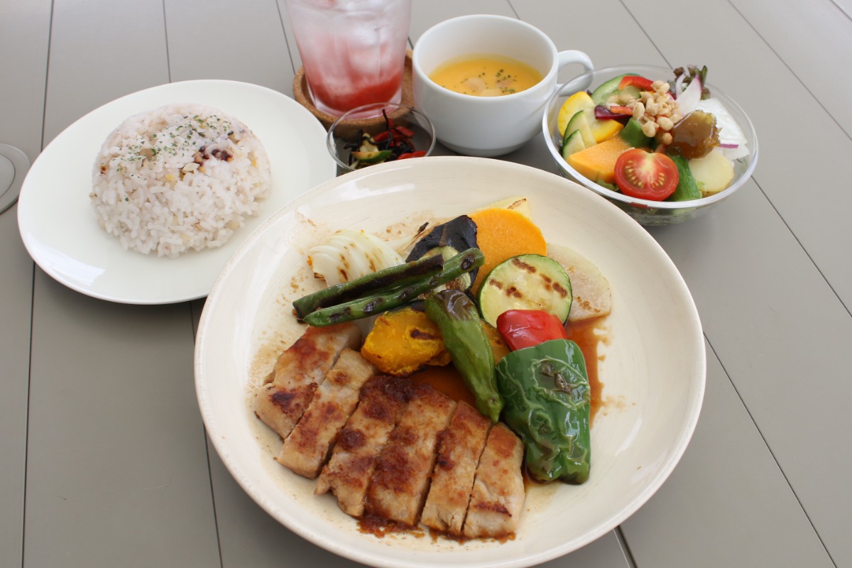 【まいにちランチvol.79】みかも喫茶（東みよし町）／ドッグラン併設カフェのランチ