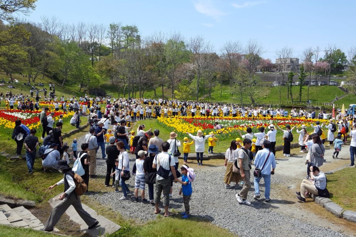 北海道｜絶景の花スポット！春色のチューリップ畑へ出かけよう