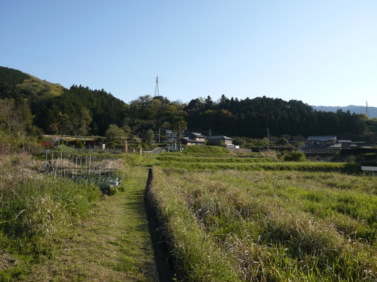 邪馬台国は阿波だった!?【古代史を通して徳島の魅力を再発見】テーマ⑯日本唯一。ヤマトの国の魂を奉る倭大國魂神社