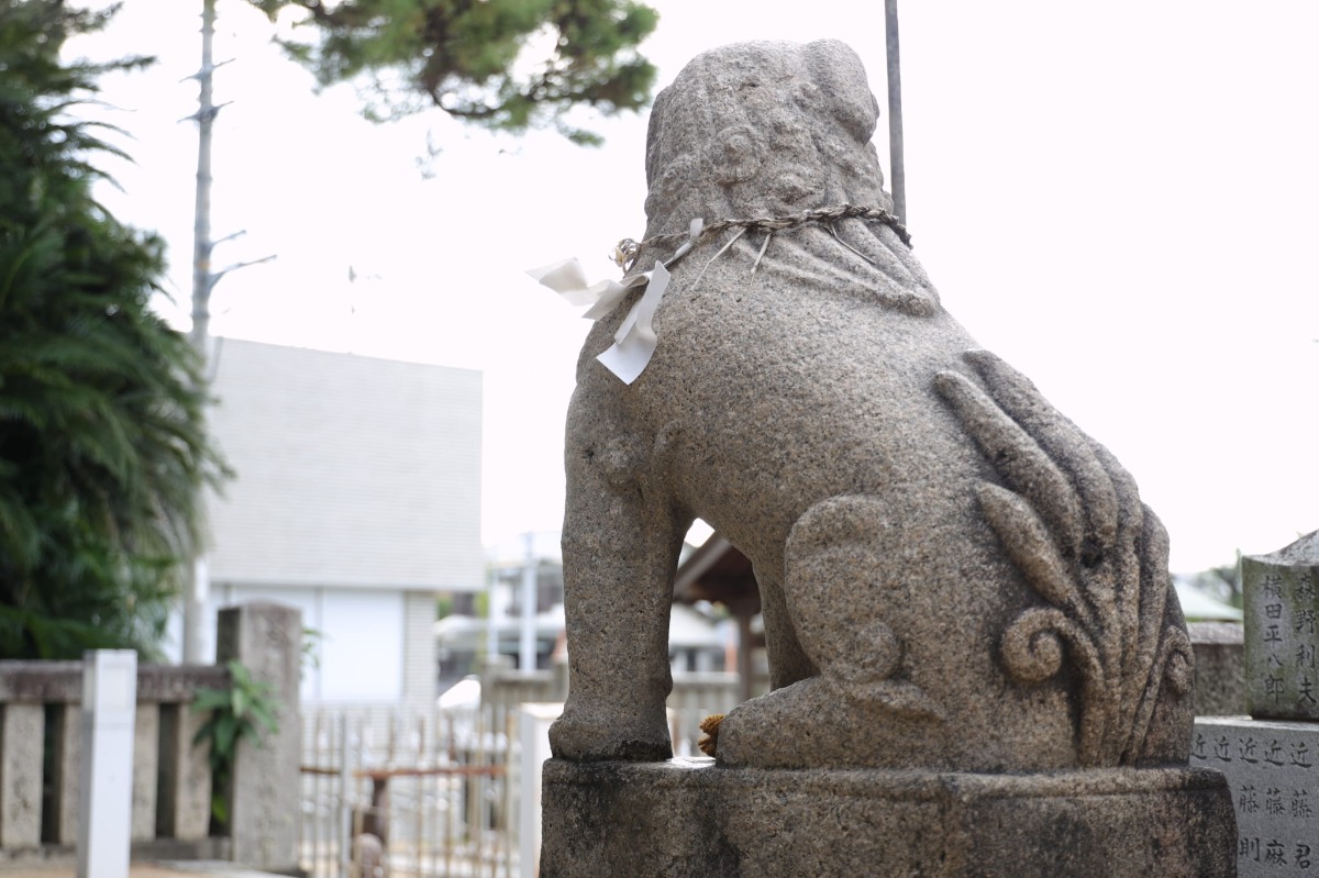 《徳島探訪》とくしま狛犬列伝 「徳島市 四所神社」