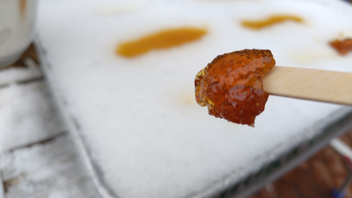 札幌→石狩地方へ行ってきました！（前編／１日目）