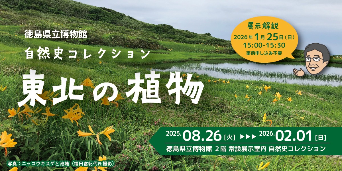 【徳島イベント情報2025】徳島県立博物館【10月】