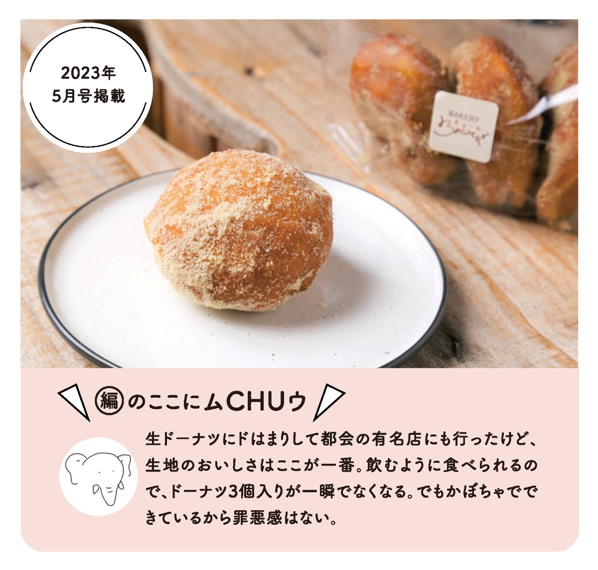 【徳島スイーツ部／おやCHU】編集部おすすめスイーツをピックアップ【ベーグル・焼菓子・アイス・和スイーツ・カフェスイーツ】