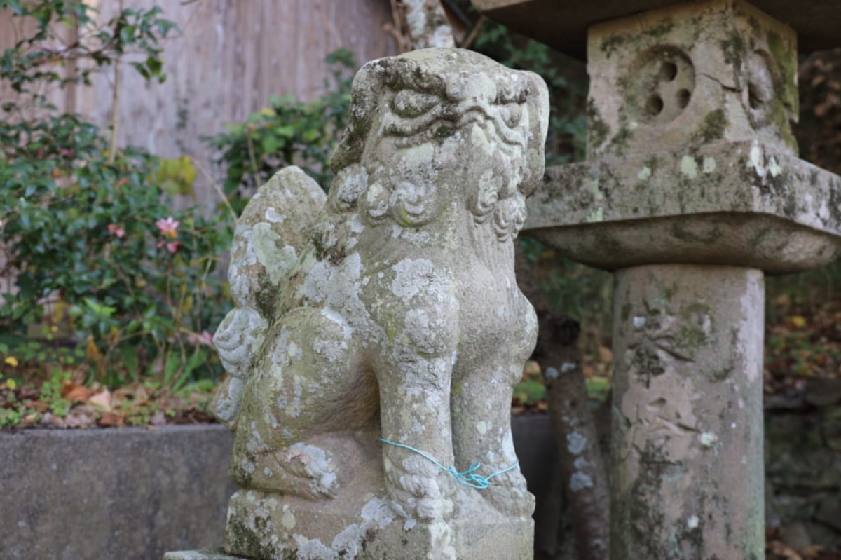 《徳島探訪》とくしま狛犬列伝 「徳島市 諏訪神社」