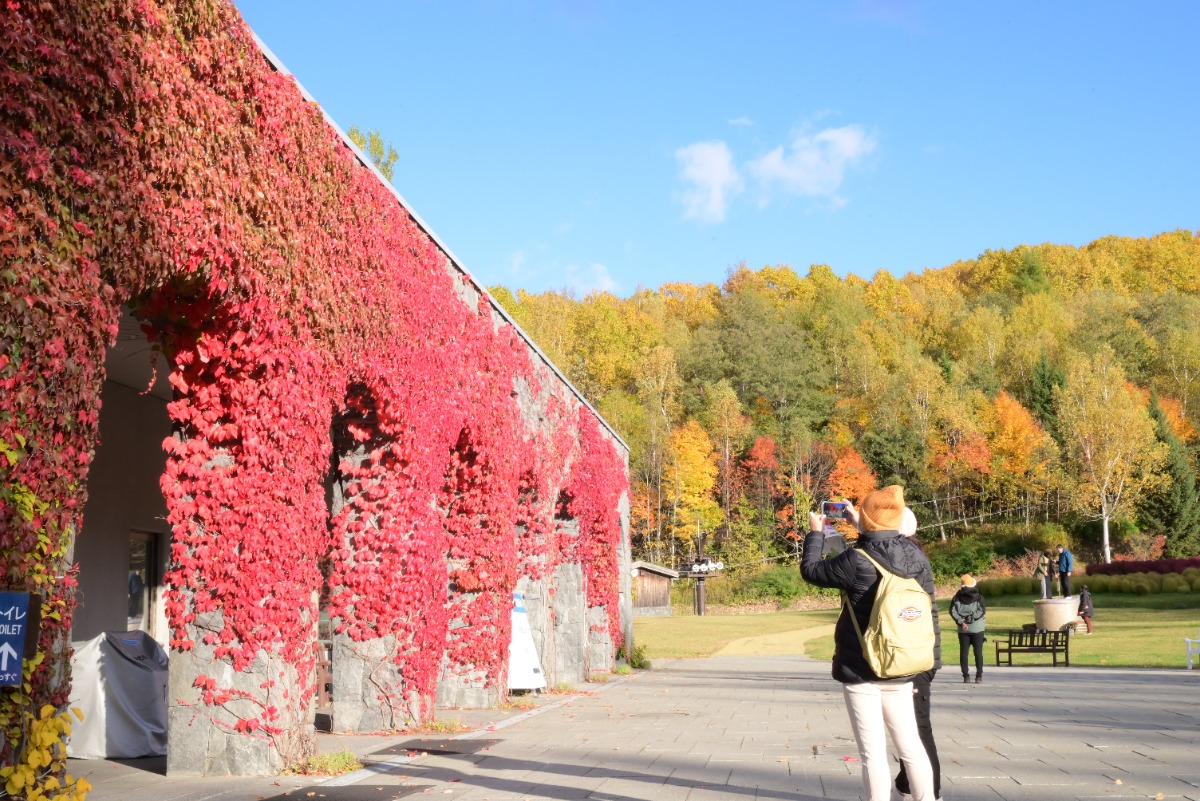 紅葉が見頃!札幌・滝野すずらん丘陵公園『たきの紅葉まつり』10/26(日)まで開催中!