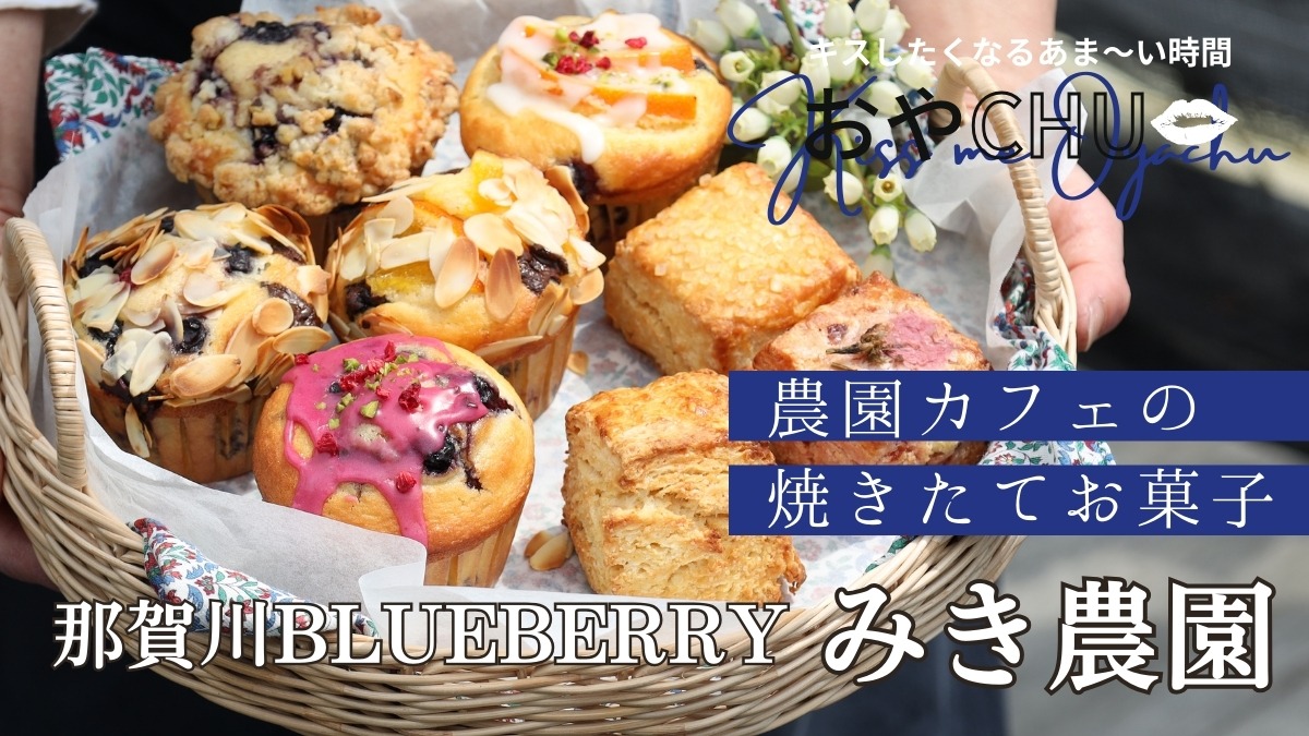 【徳島スイーツ部/おやCHU】那賀川BLUEBERRY みき農園(阿南市那賀川町)焼きたてのお菓子に出会えるブルーベリー農園のカフェ