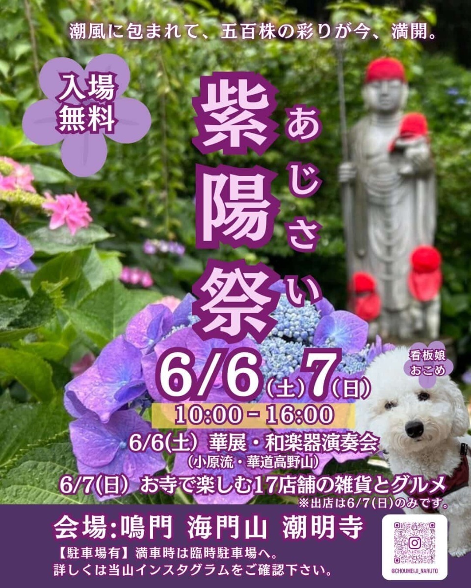 【徳島イベント情報2026】あじさいイベントまとめ2026 ～梅雨の時期でもお出かけを楽しもう！～