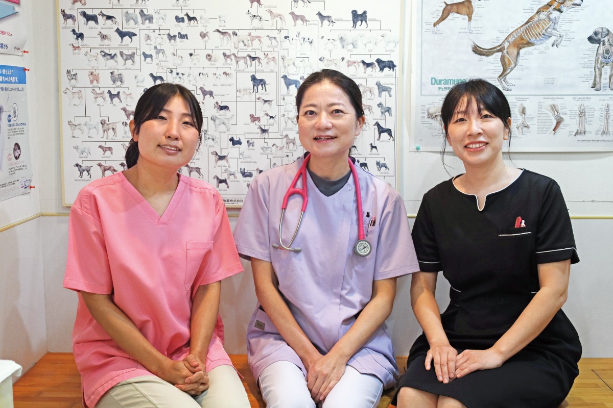 【2026】徳島の動物病院／ペット／ピックアップ8選―あわわ2026年10月20日号徳島いぬねこ本―