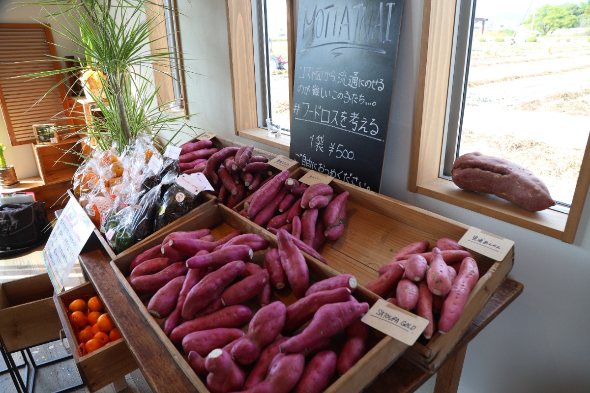 【2023.10月OPEN】さつまいも専門店IMOYA YAMAKI（イモヤヤマキ／板野郡松茂町）7種類の個性豊かな焼き芋がスタンバイ！ 生産者の本気を味わおう