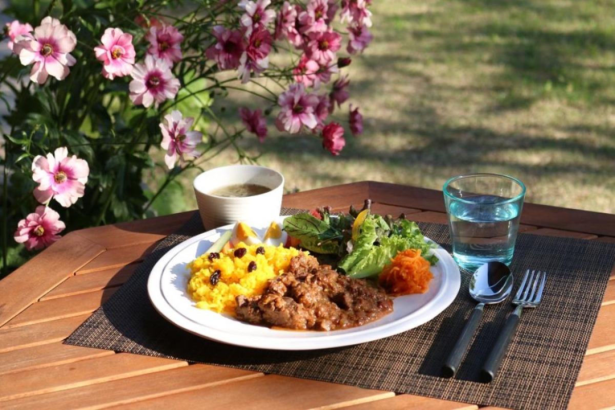 【徳島のジビエ グルメ】2025年11月開幕！徳島のジビエをいただく『阿波地美栄まつり』がスタート！