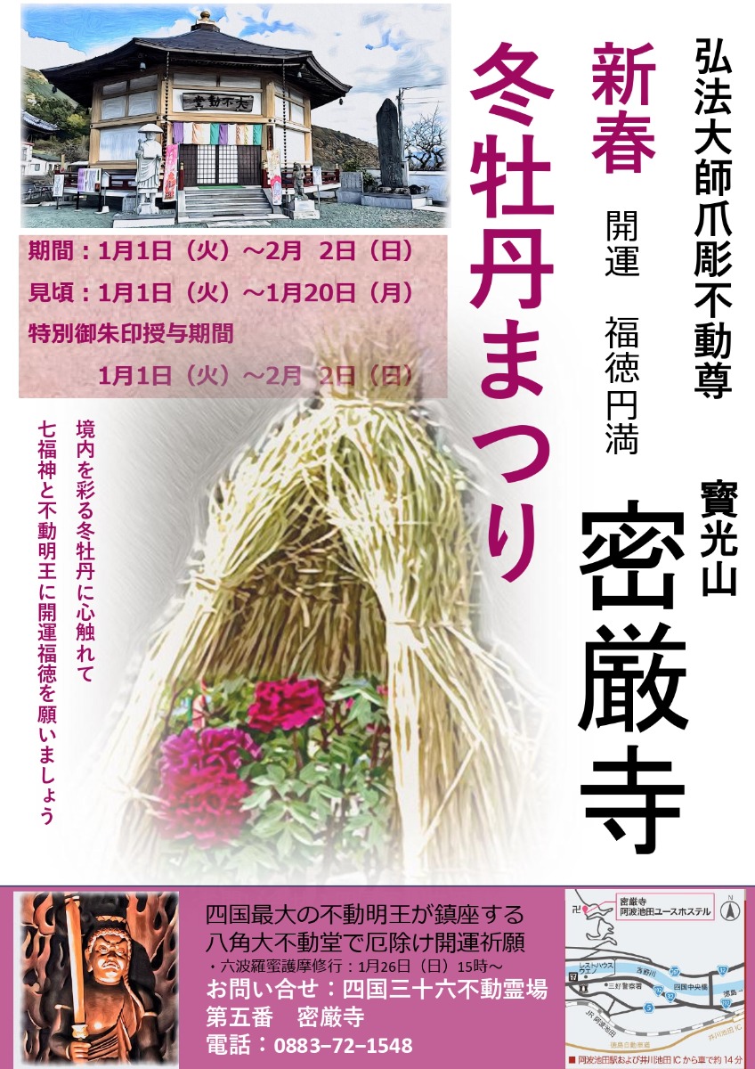 【徳島イベント情報2025】1/1～2/2｜密厳寺 冬牡丹祭り