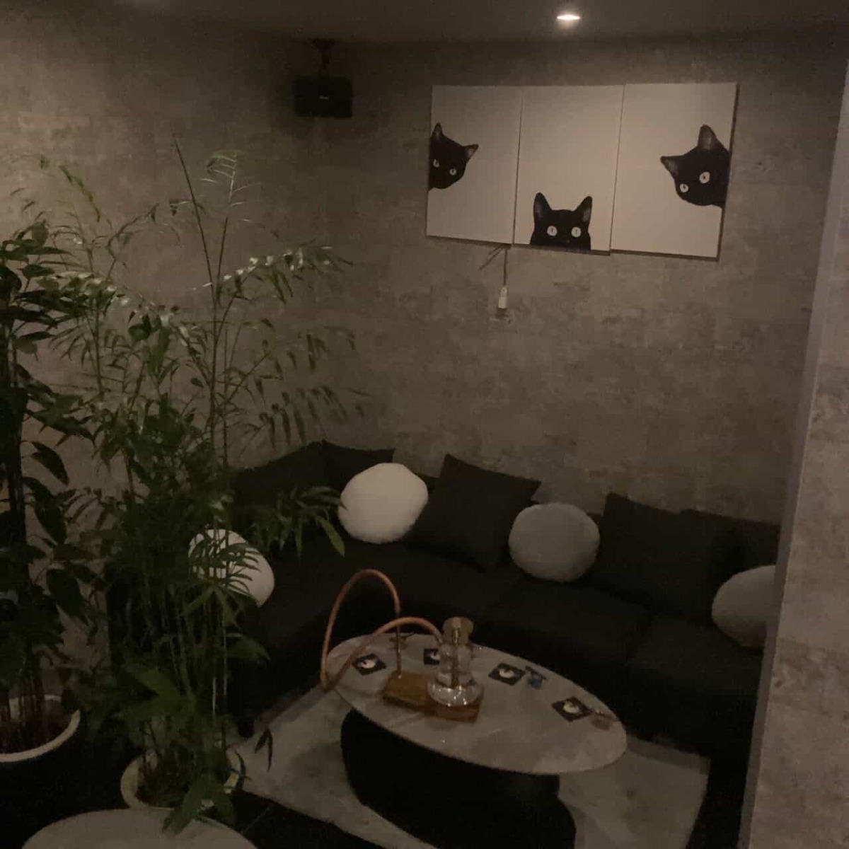 【徳島版】夜のサブカルショップまとめ2026 ～ゲーム・アニメ・コンカフェ・都市伝説～