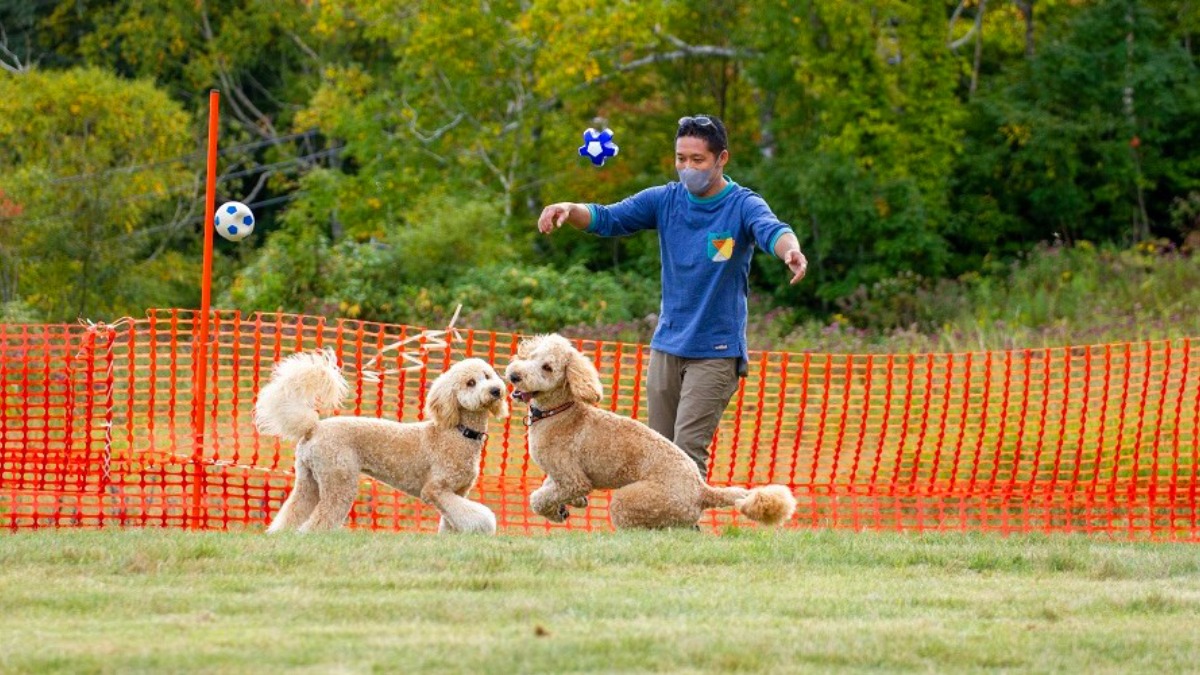 愛犬と一緒に空中散歩！富良野ロープウェイ紅葉営業を開催中