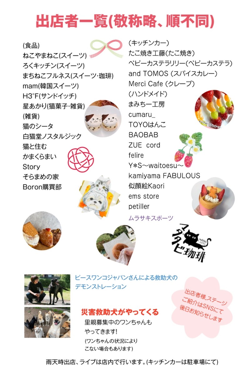 【徳島イベント情報2025】5/18|保護猫譲渡会にゃんむすび