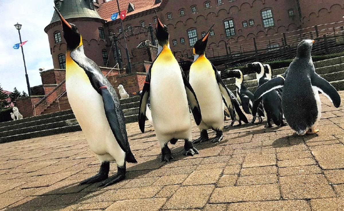 登別で一日楽しもう！クマ牧場に水族館、温泉＆グルメなど多彩なスポット