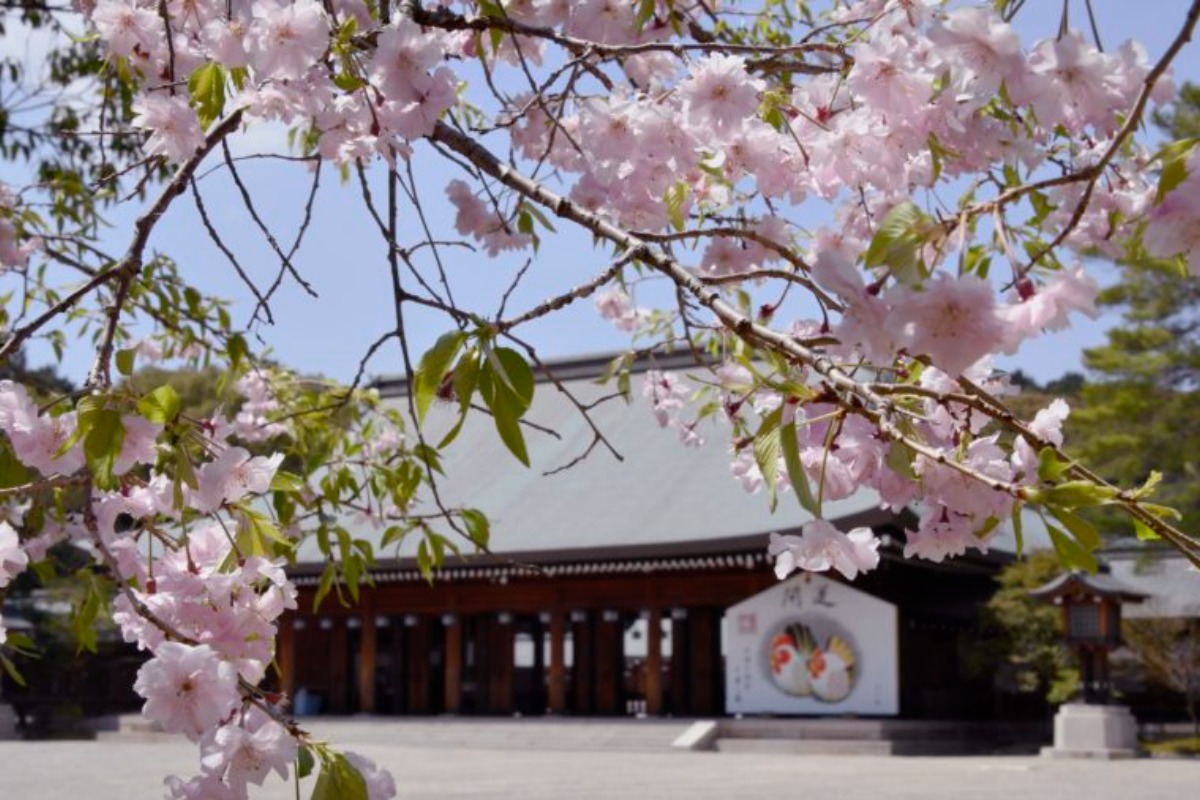 【2022年版】奈良の桜情報＆開花予想2