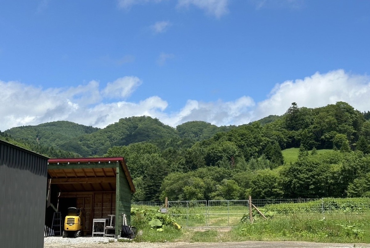 北海道白糠町 チーズ工房「白糠酪恵舎」のミルクを活かしたチーズづくり