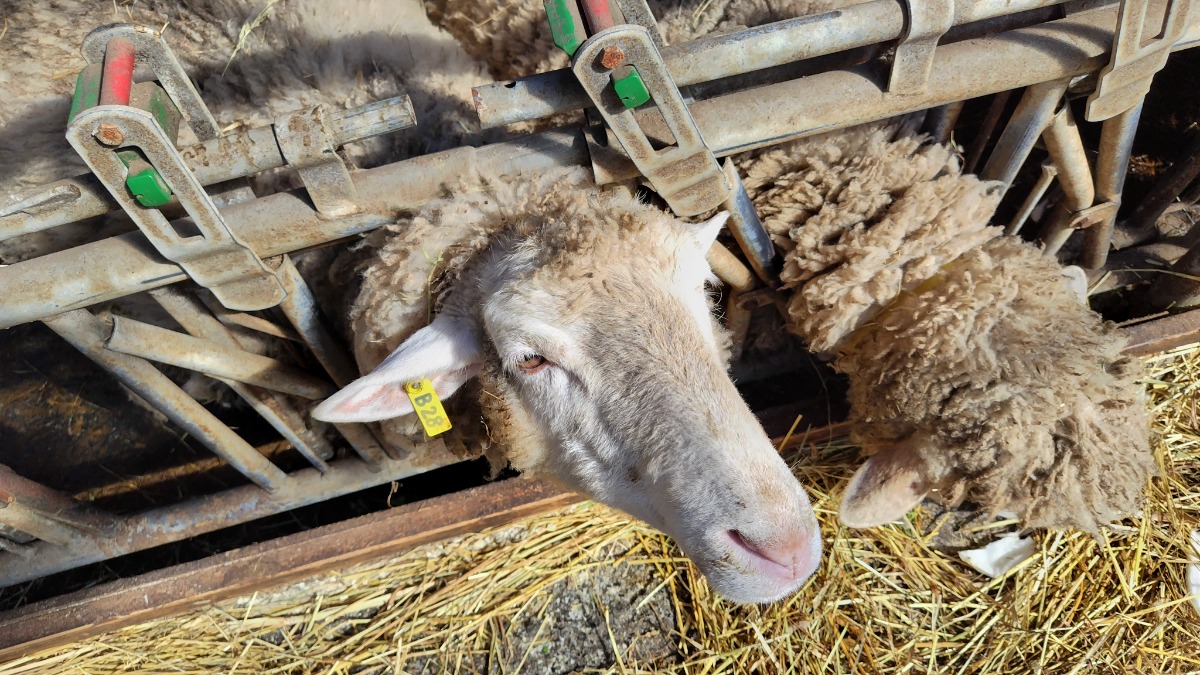 札幌→石狩地方へ行ってきました！（後編／２日目）