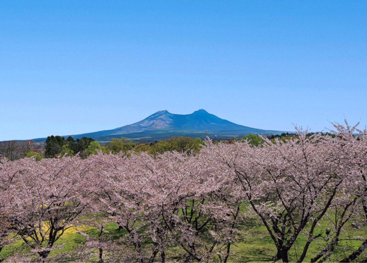 北海道・森町は若者の挑戦を積極支援！“自然と食”の魅力あふれるまち