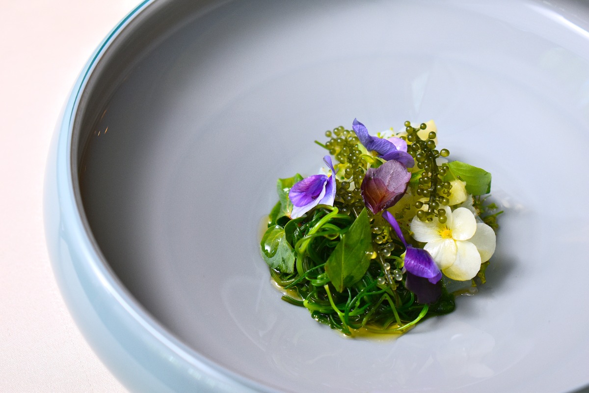 15年分の感謝を込めて。『仏蘭西料理 La Terrasse(ラ・テラス)』(奈良市)で業態変更前の感謝イベント開催中!