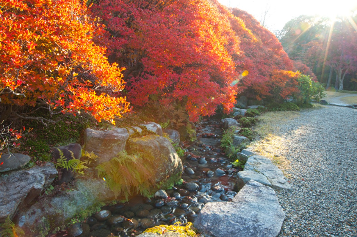 静寂に包まれた二種の日本庭園に色づく紅葉の美【紅葉2022｜依水園｜奈良市】