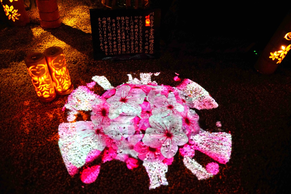 【明日香村】川原寺でプロジェクションマッピング「幻桜の夜」開催！