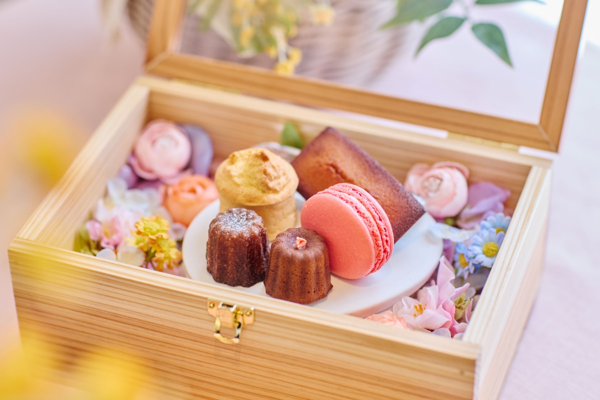 春の小樽運河で満喫！優雅な船上ティータイム