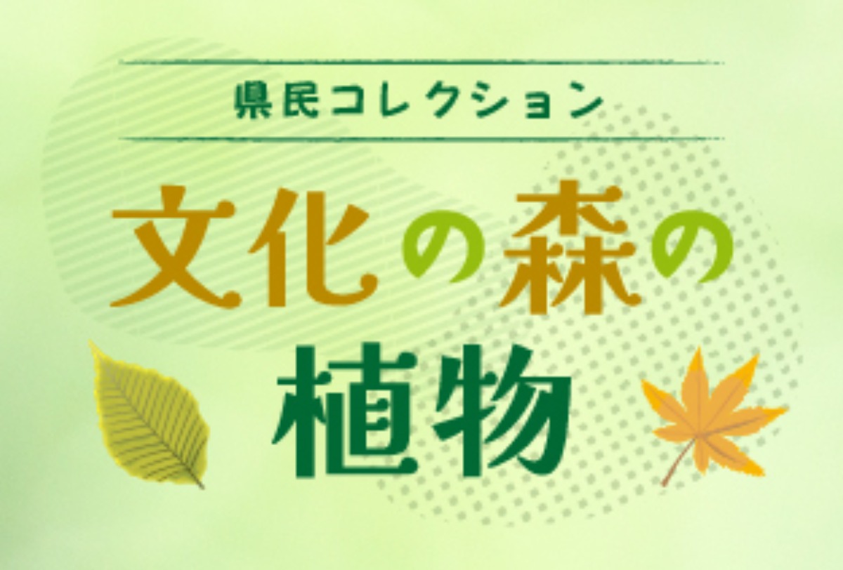 【徳島イベント情報】徳島県立博物館【9月】