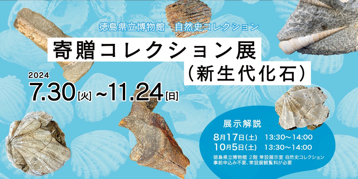 【徳島イベント情報2024】徳島県立博物館【10月】