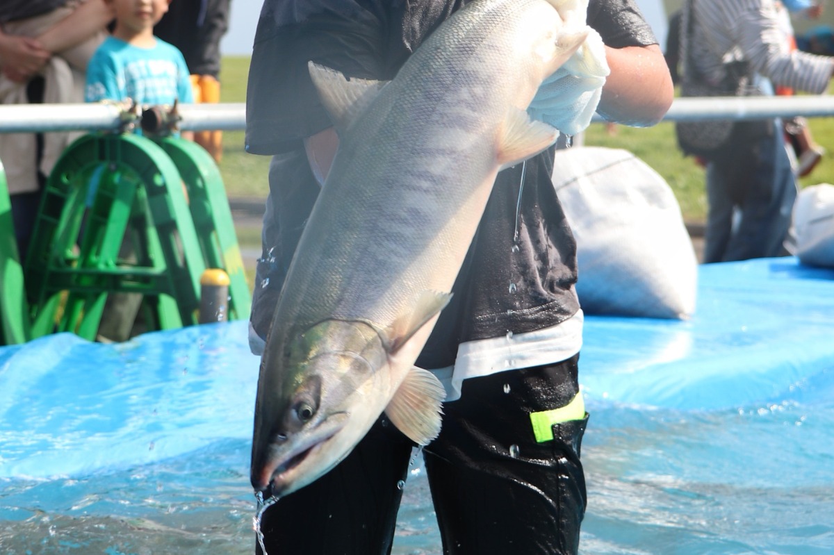 オホーツク・枝幸町の秋の恵み「よくばりフェスタ」10月6日開催