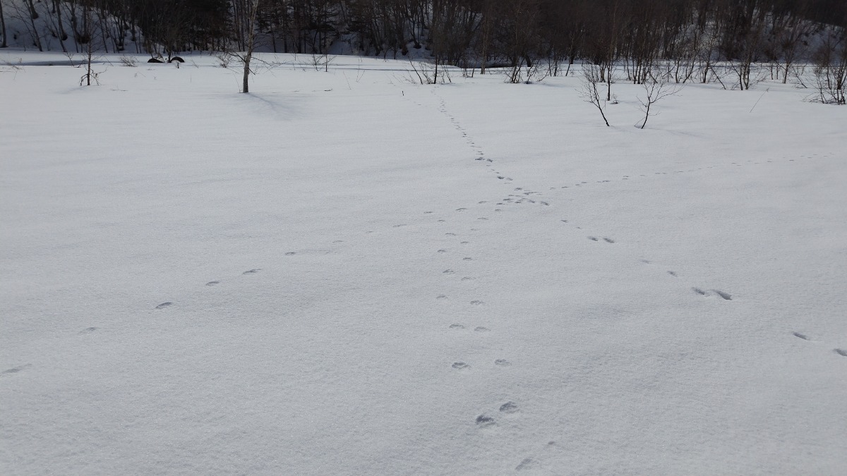札幌→石狩地方へ行ってきました！（前編／１日目）