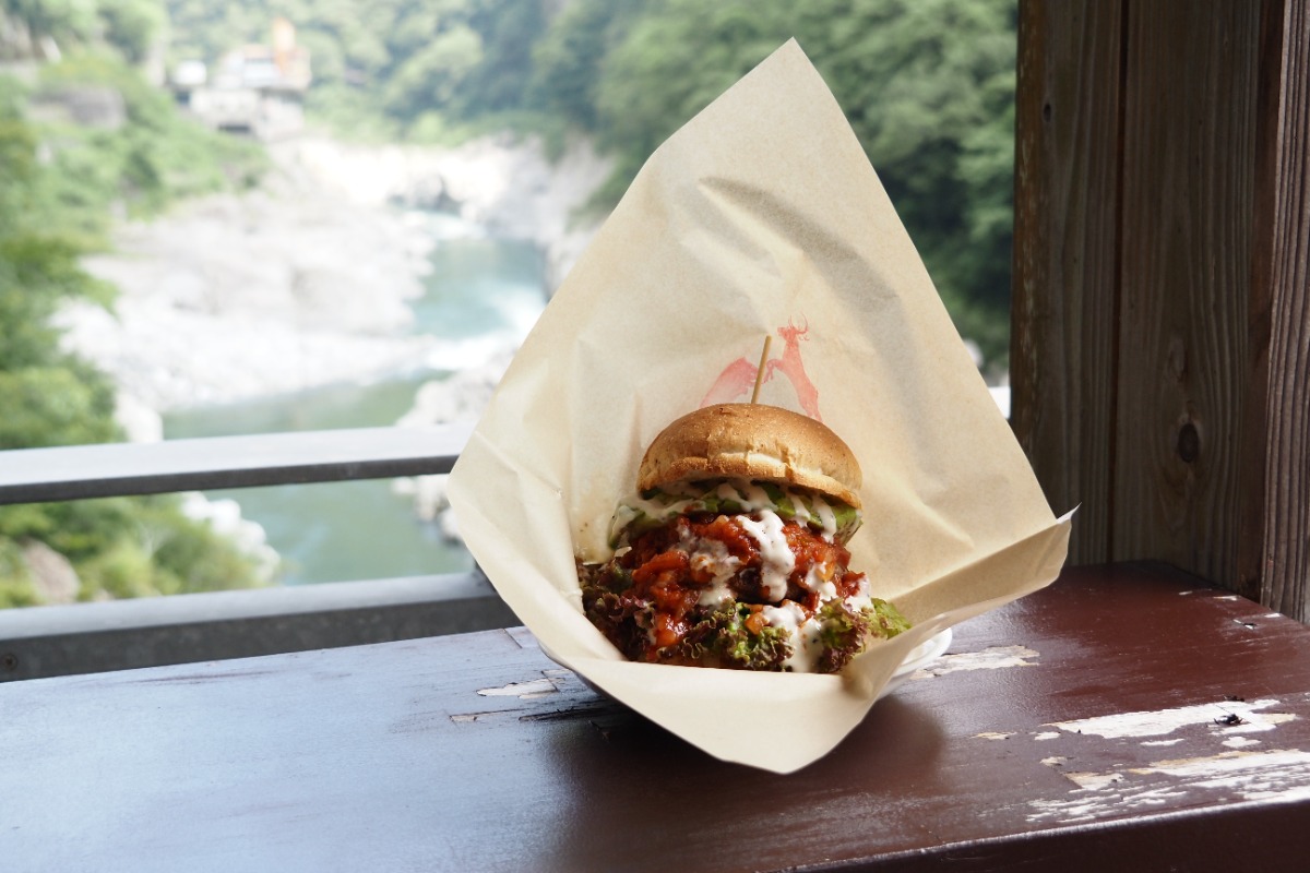【あわわ編集部によるおでかけプラン】大歩危・祖谷で自然の恵み体感DAY【8月】大歩危峡観光遊覧船／道の駅 大歩危／Cafe & ジビエ／祖谷のかずら橋