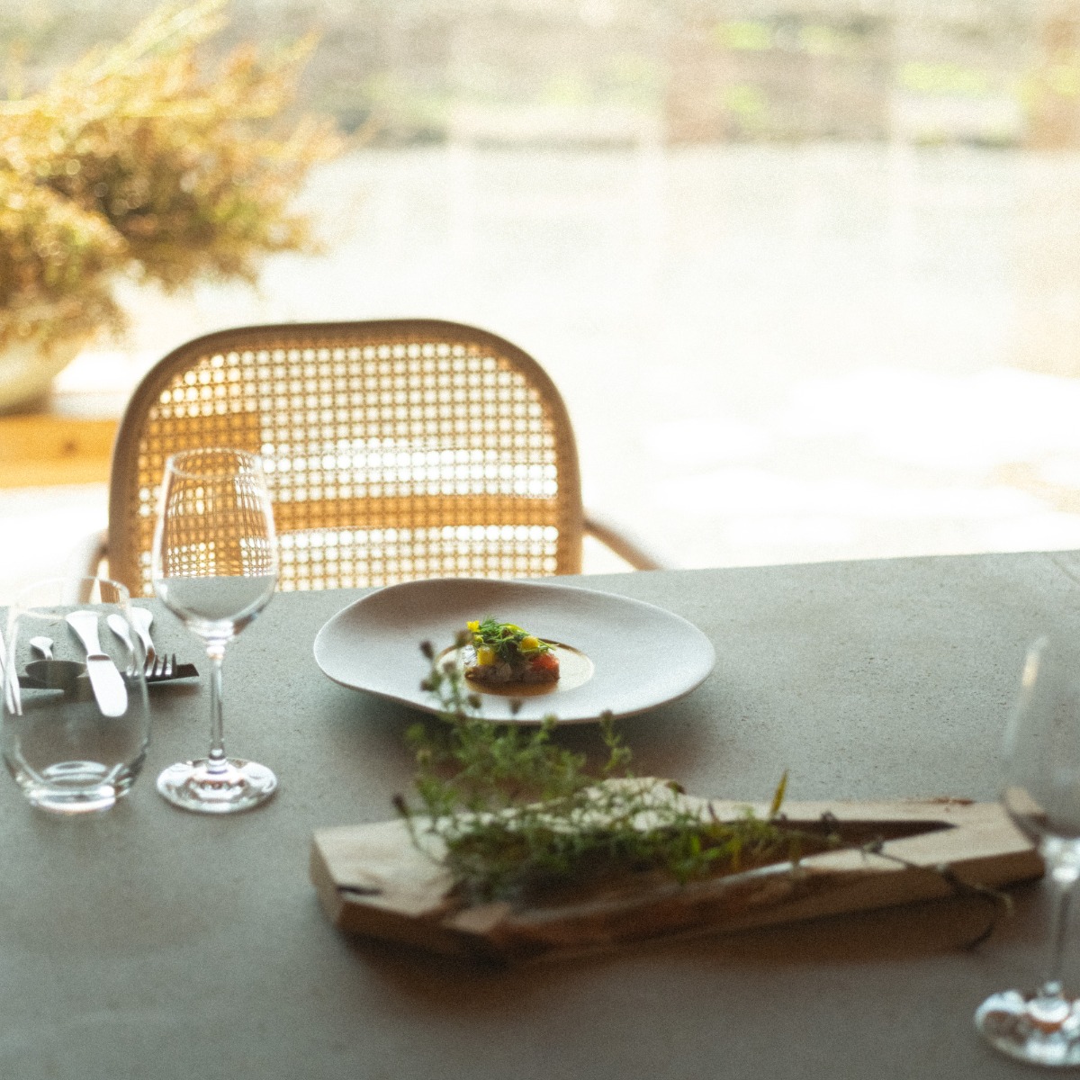 北海道の森を味わうレストラン「MORISHIRO（モリシロ）」が11月21日OPEN