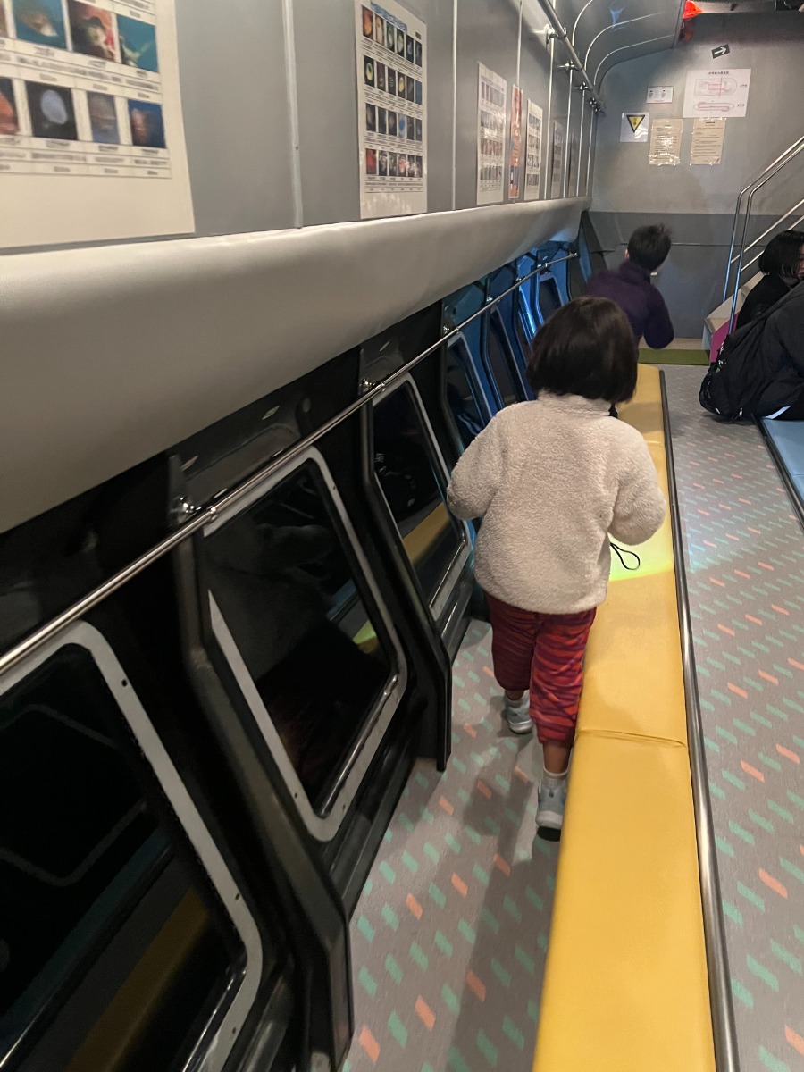 【徳島のおでかけ情報】海中観光船ブルーマリン号の「バレンタインナイトクルーズ2026」ロマンチックな夜の海でステキな思い出を