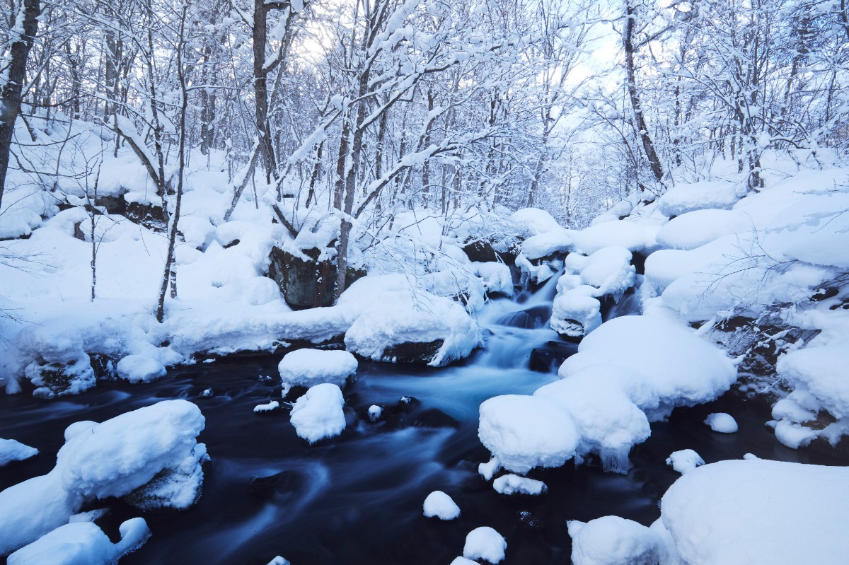 奥入瀬渓流ホテル｜雪景色を見ながら味わう、青森の絶品朝食