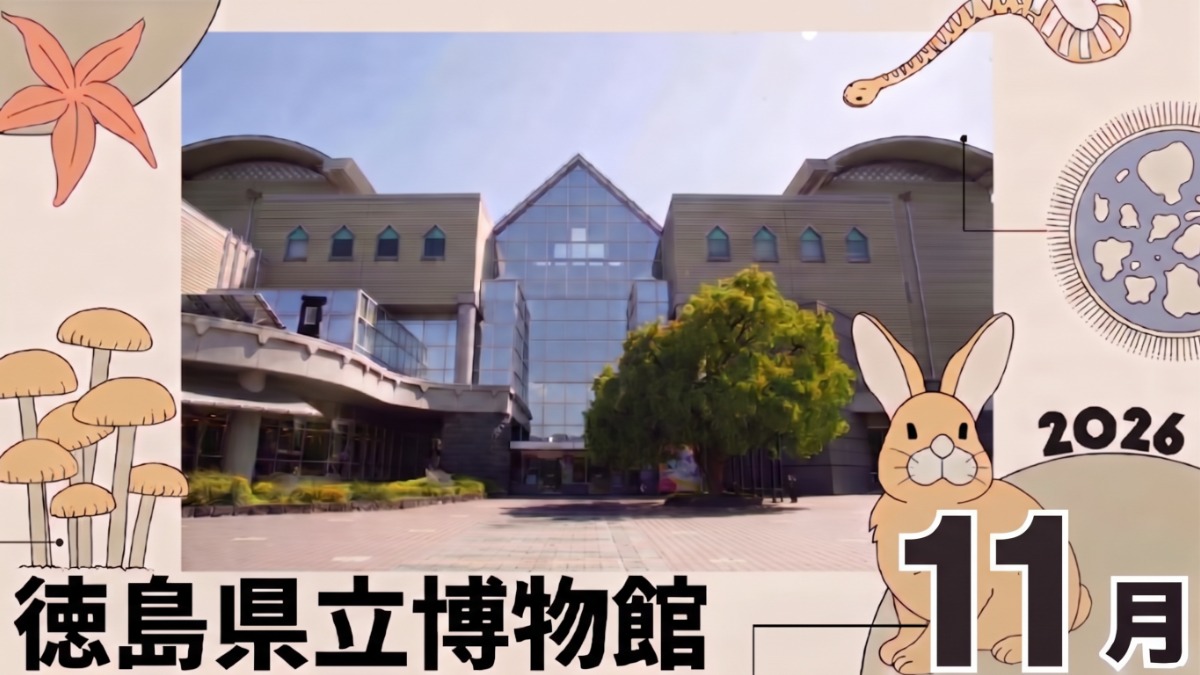 【徳島イベント情報2026】徳島県立博物館【11月】