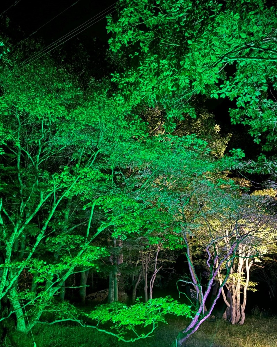 層雲峡の夜、紅葉と光のコラボ！幻想的な空間を体感してきた