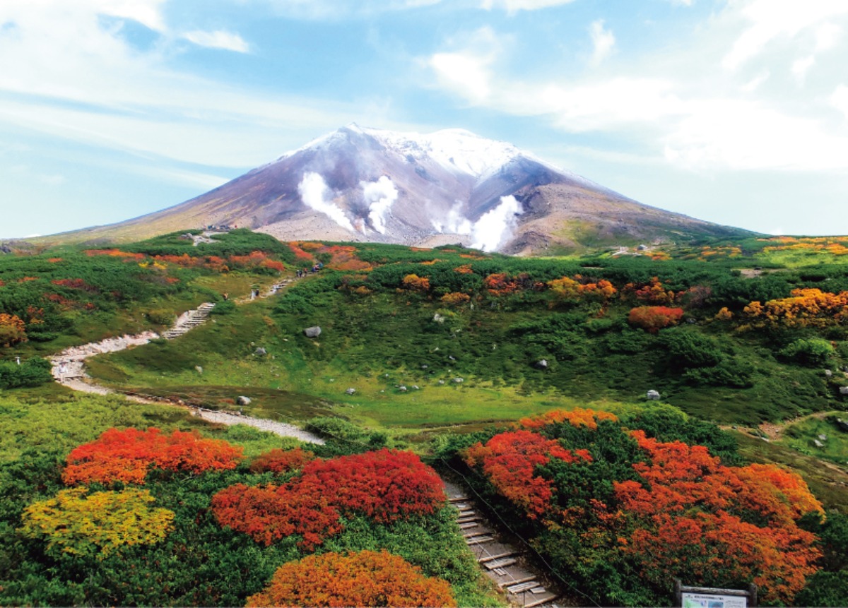 北海道移住・秋|自然豊かな東川町への移住!テレワーク環境も充実