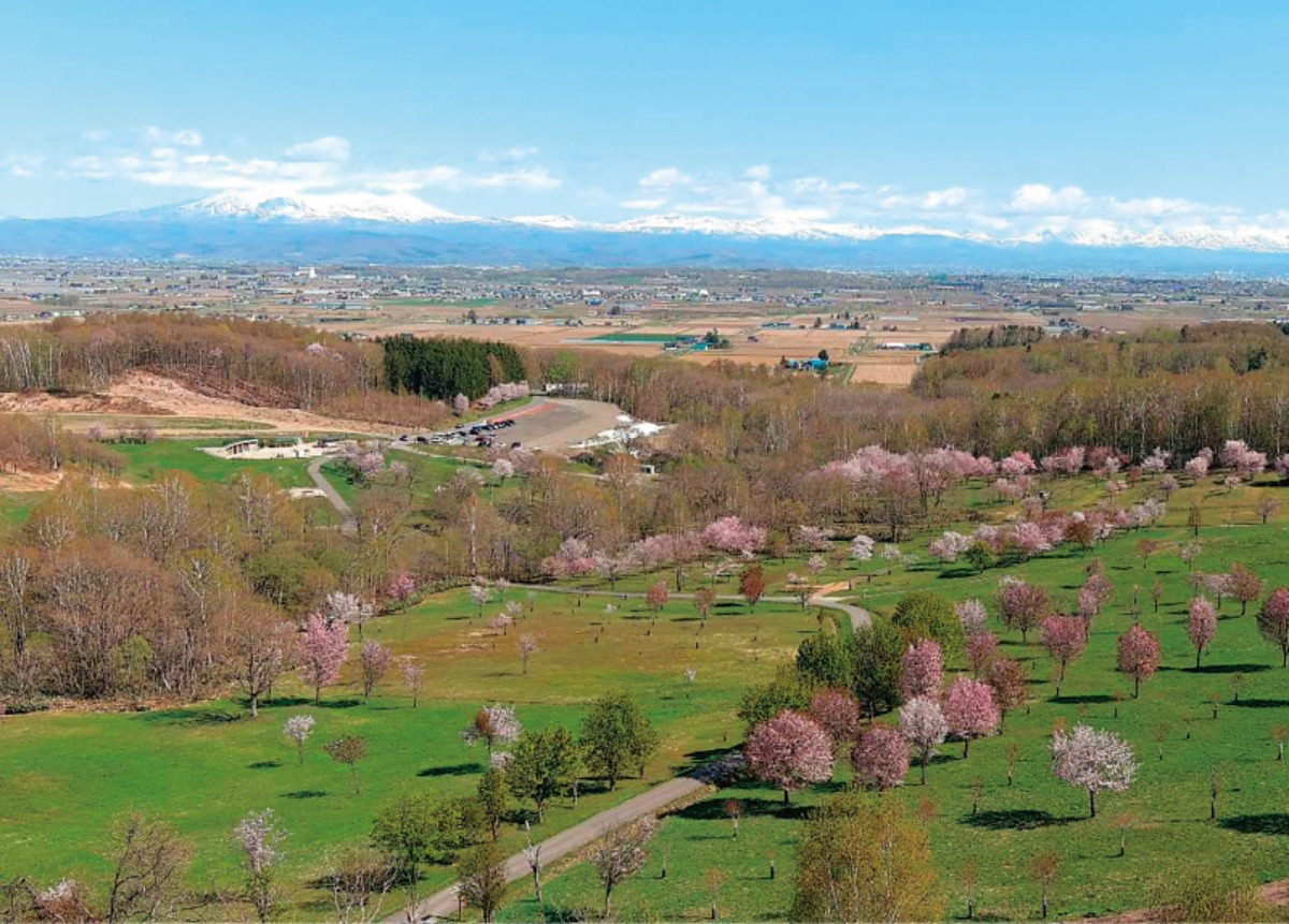 北海道移住・秋|鷹栖町 運動学習で感性・知性も育む教育プログラム