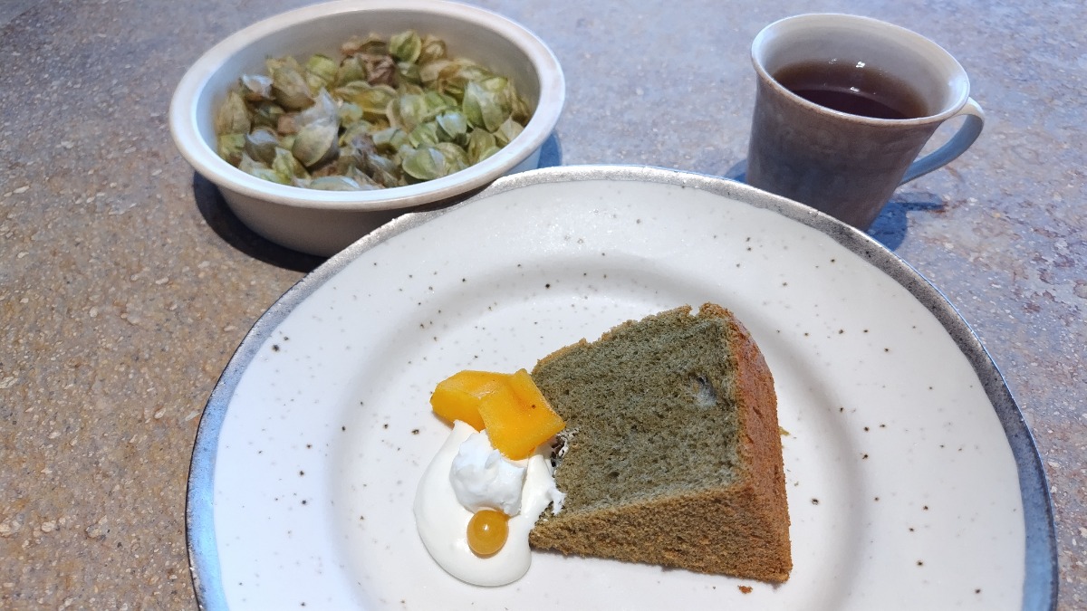 美食と香りのレストランがオープン！「MORISHIRO（モリシロ）」に行ってきました