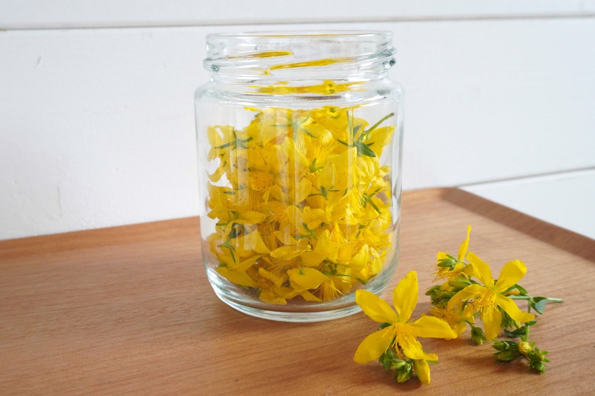 ポタジェ|菜園のデザイン!ハーブの開花と野菜が育つ7月の様子
