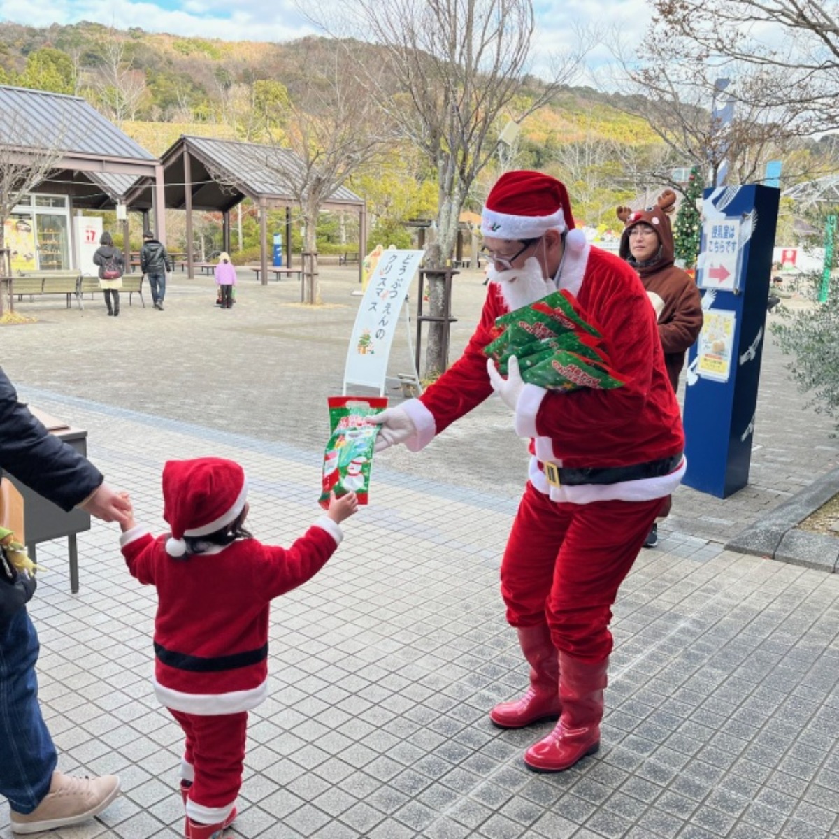 【徳島イベント情報2025】12/21｜どうぶつえんのクリスマス