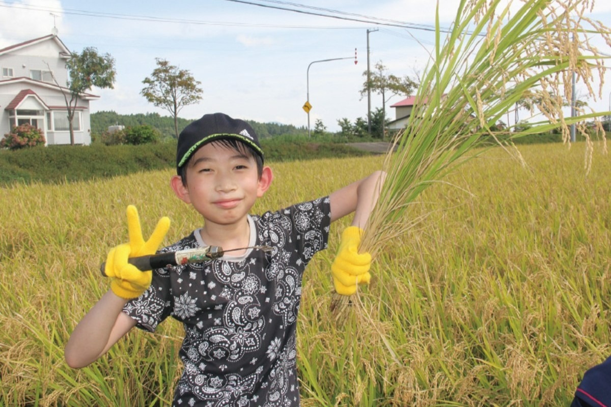 北海道移住｜木古内町　新幹線の停車地、首都圏とのアクセス良好