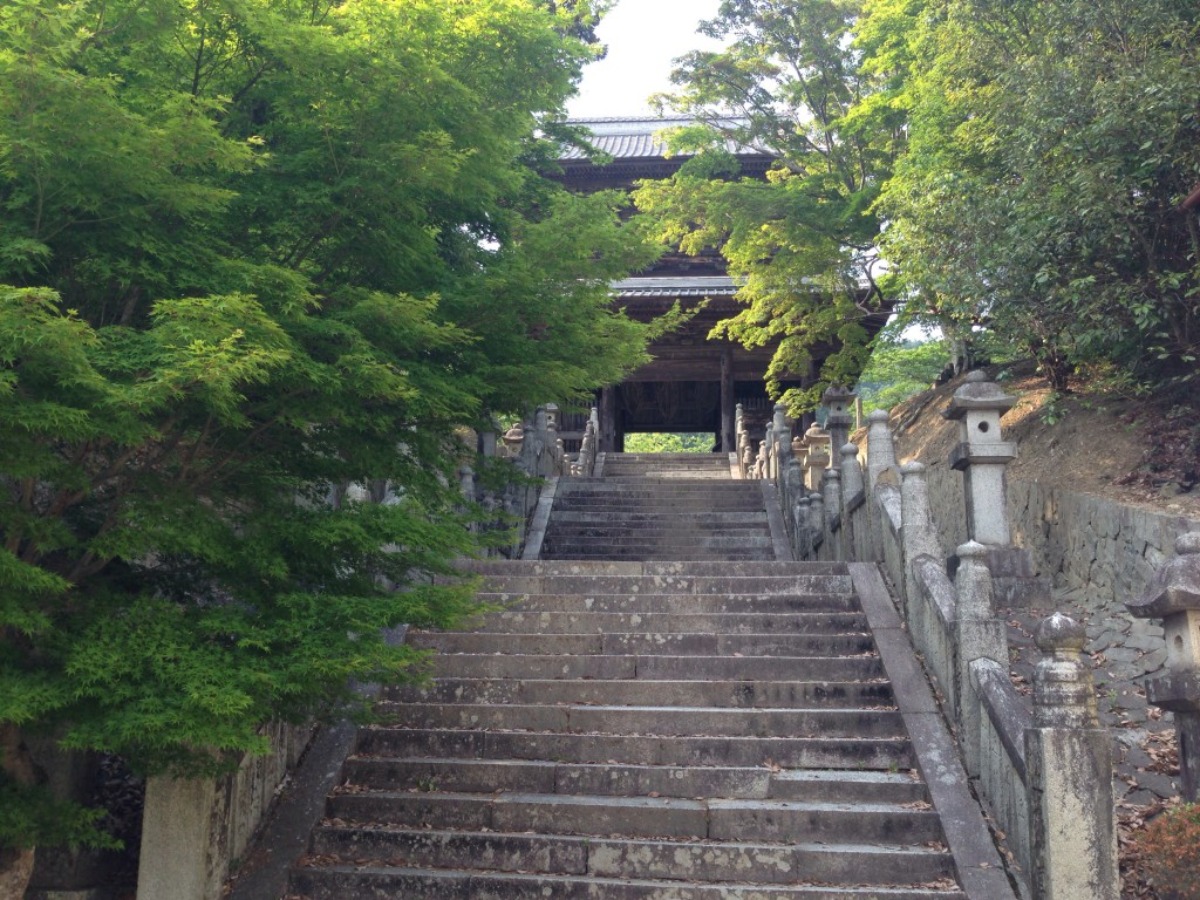 ロープウェイで絶景を見ながら由緒正しき池田町「箸蔵寺」に参拝してきました
