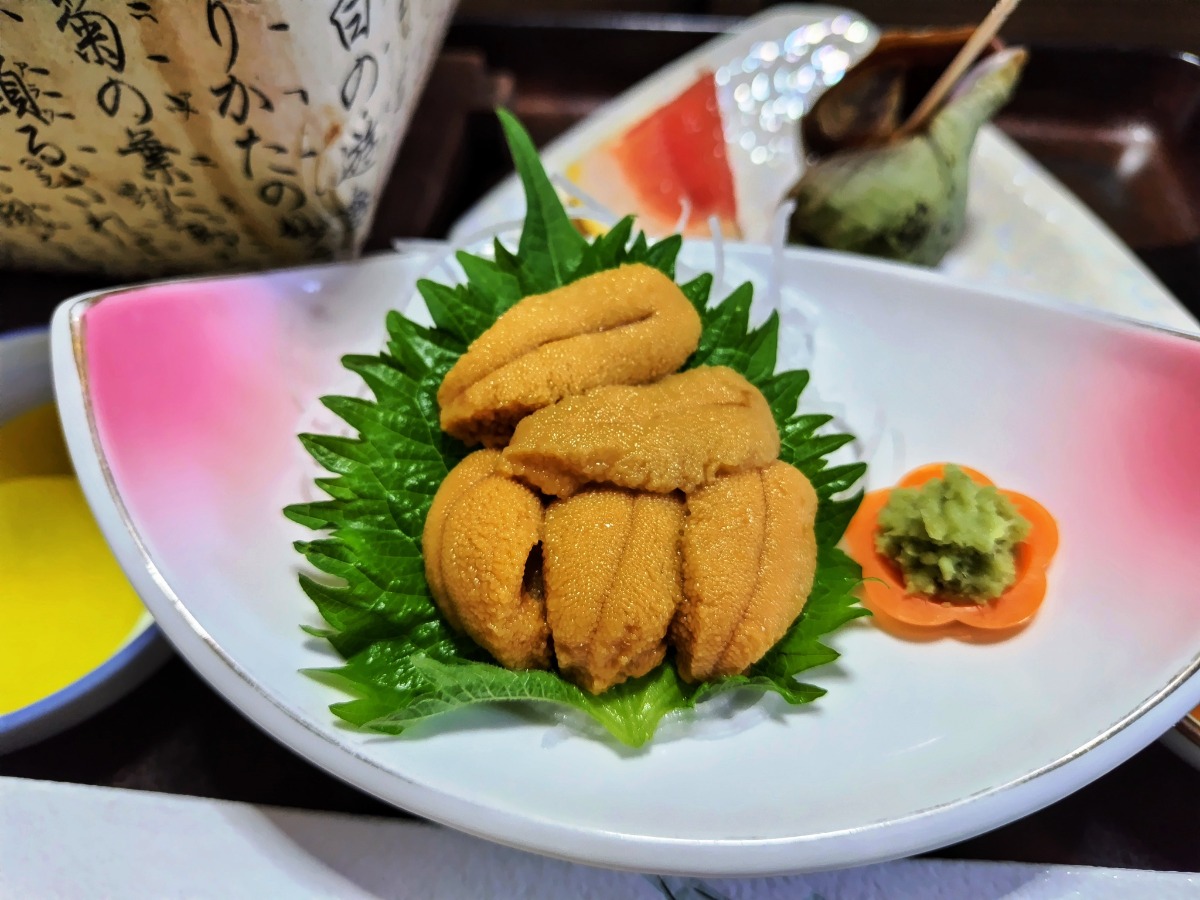 やぎさん取材日記｜羊のいる焼尻島・海鳥の聖地・天売島へ。　