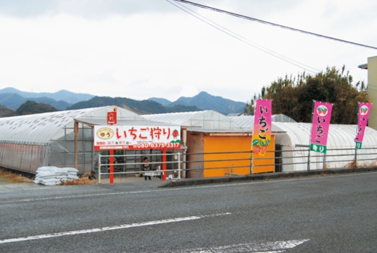 【2026最新版】徳島いちご狩りスポット・おすすめ12選！家族のおでかけ＆レジャーにぴったり