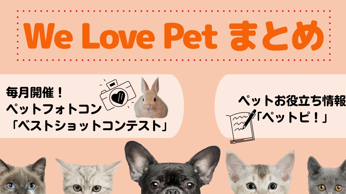 【歴代作品はここからチェック！ペットフォトコンテスト】徳島のペット情報を掲載♪「We Love Pet」まとめ
