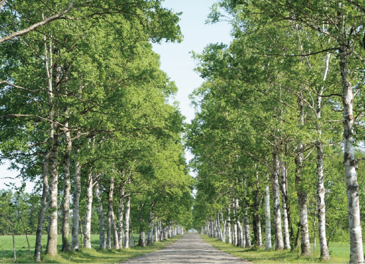 北海道移住・秋｜音更町　十勝川温泉を有して、自然と都市の魅力を備える