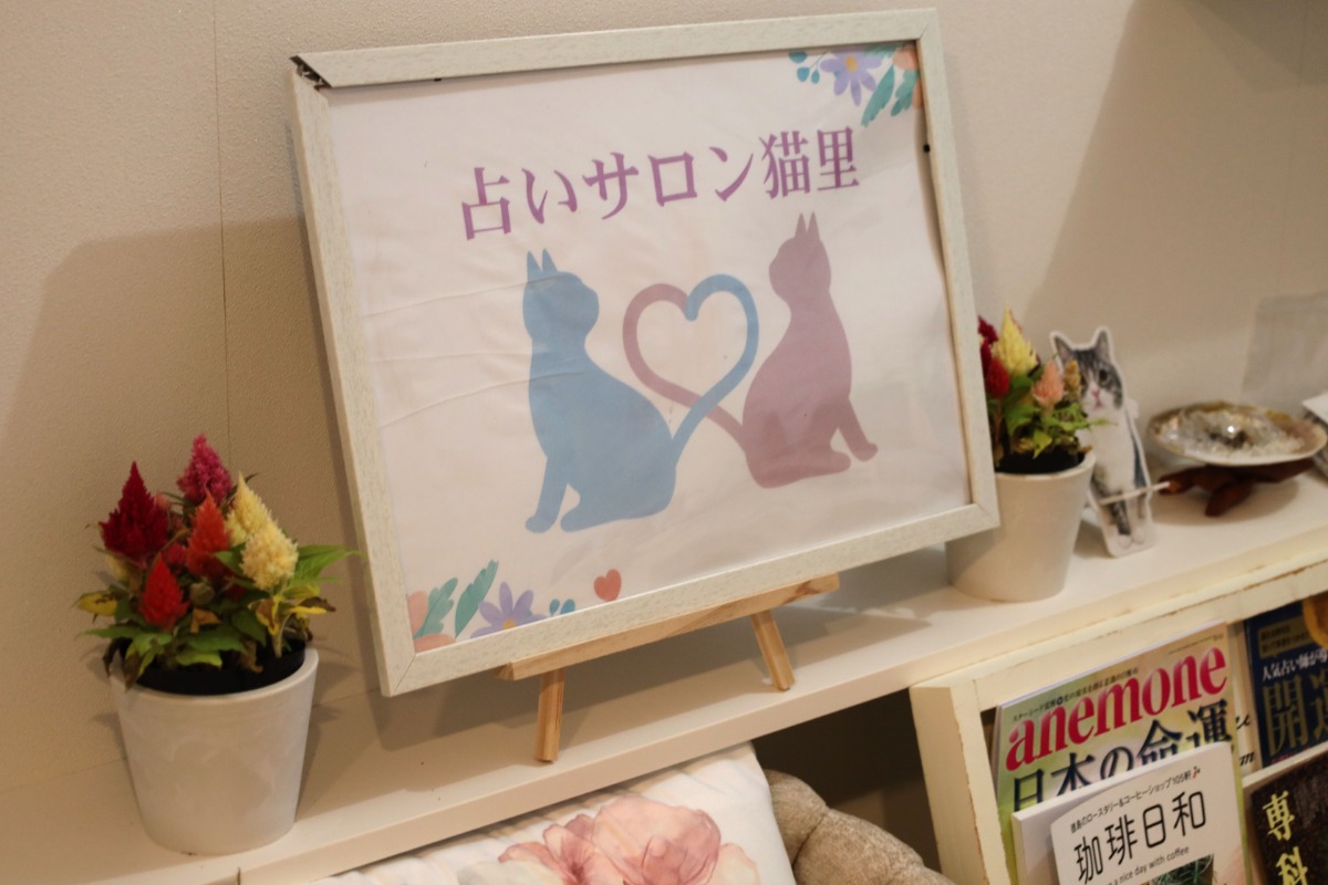 《占いサロン 猫里》5種類の占術で、納得! 悩みに寄り添うアドバイスで、自分らしい素敵な未来を