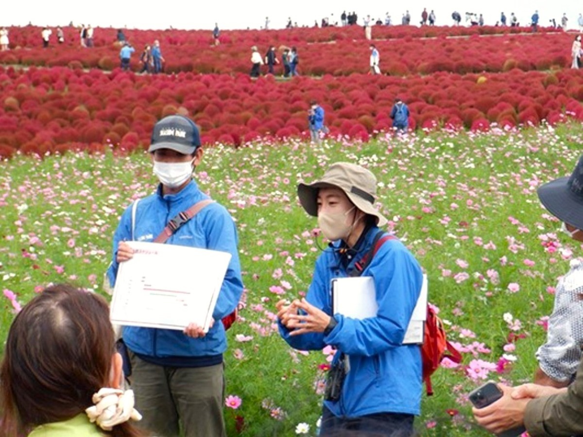 茨城・ひたち海浜公園の10月は秋を楽しむ「コキアカーニバル」開催中！